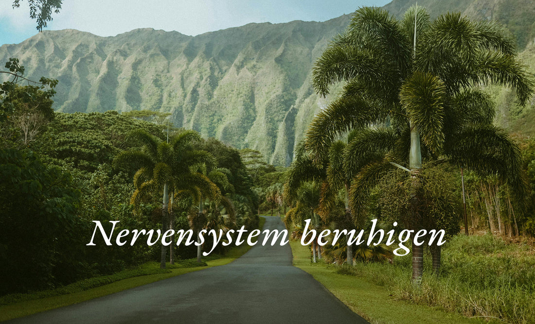 Nervensystem beruhigen & Vagusnerv aktivieren: 10 effektive Wege für mehr Ruhe, Balance & innere Stärke