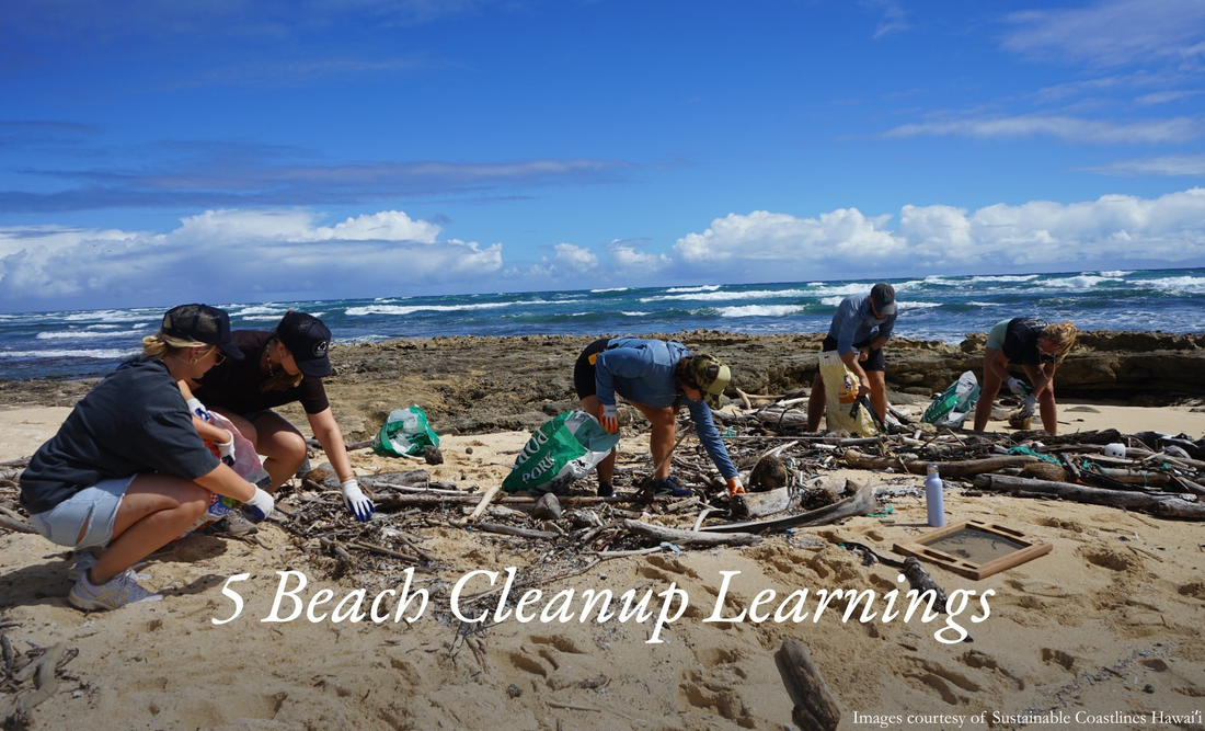 Beach Cleanup: 5 Dinge, die wir über den Schutz unserer Ozeane gelernt haben