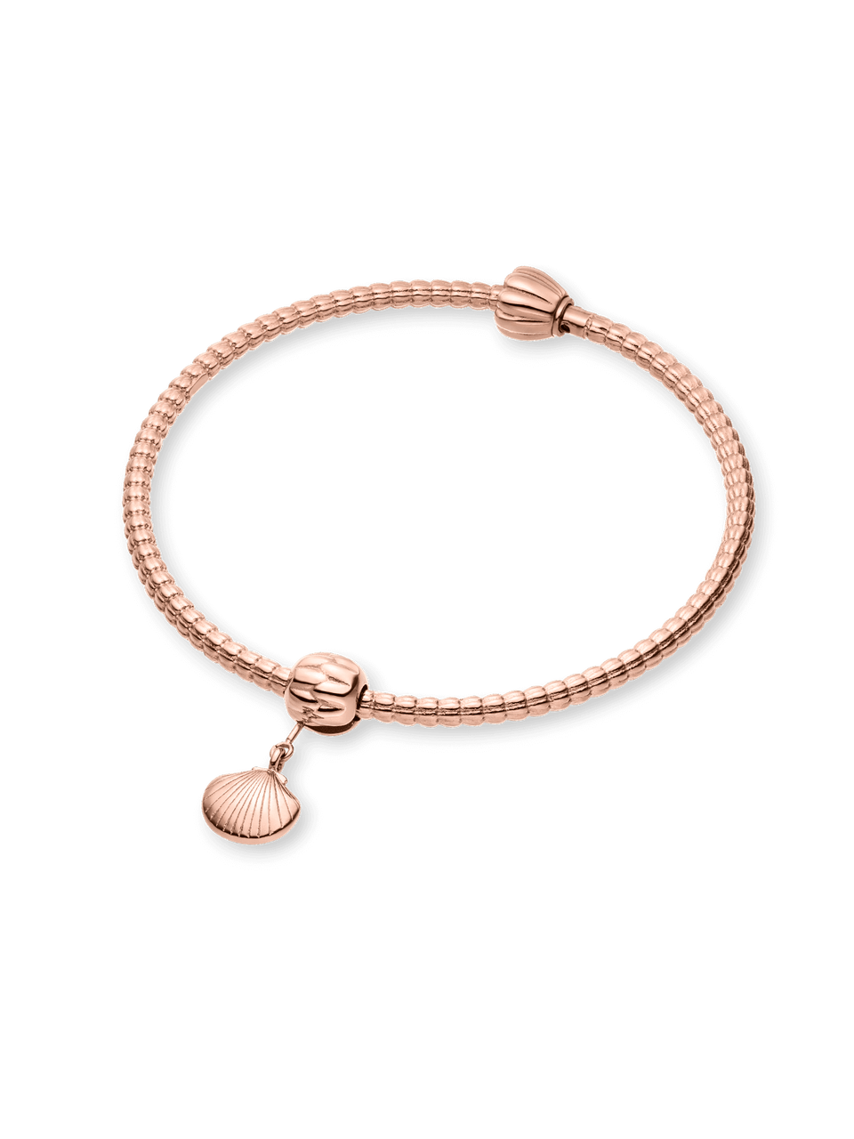 LEI Seashell Charm