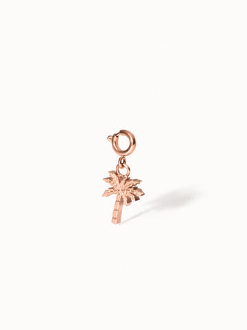 {"color":"Rosegold", "type":"lead_image"}