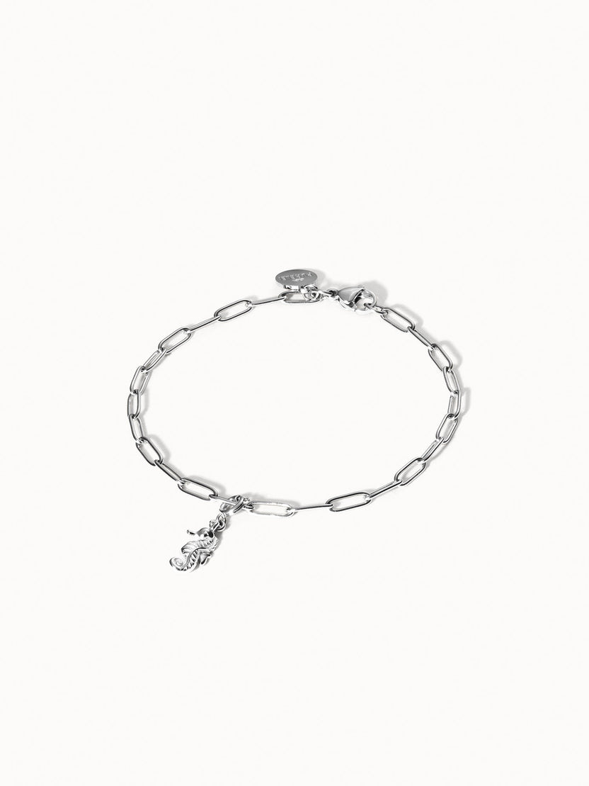 {"color":"Silver"}