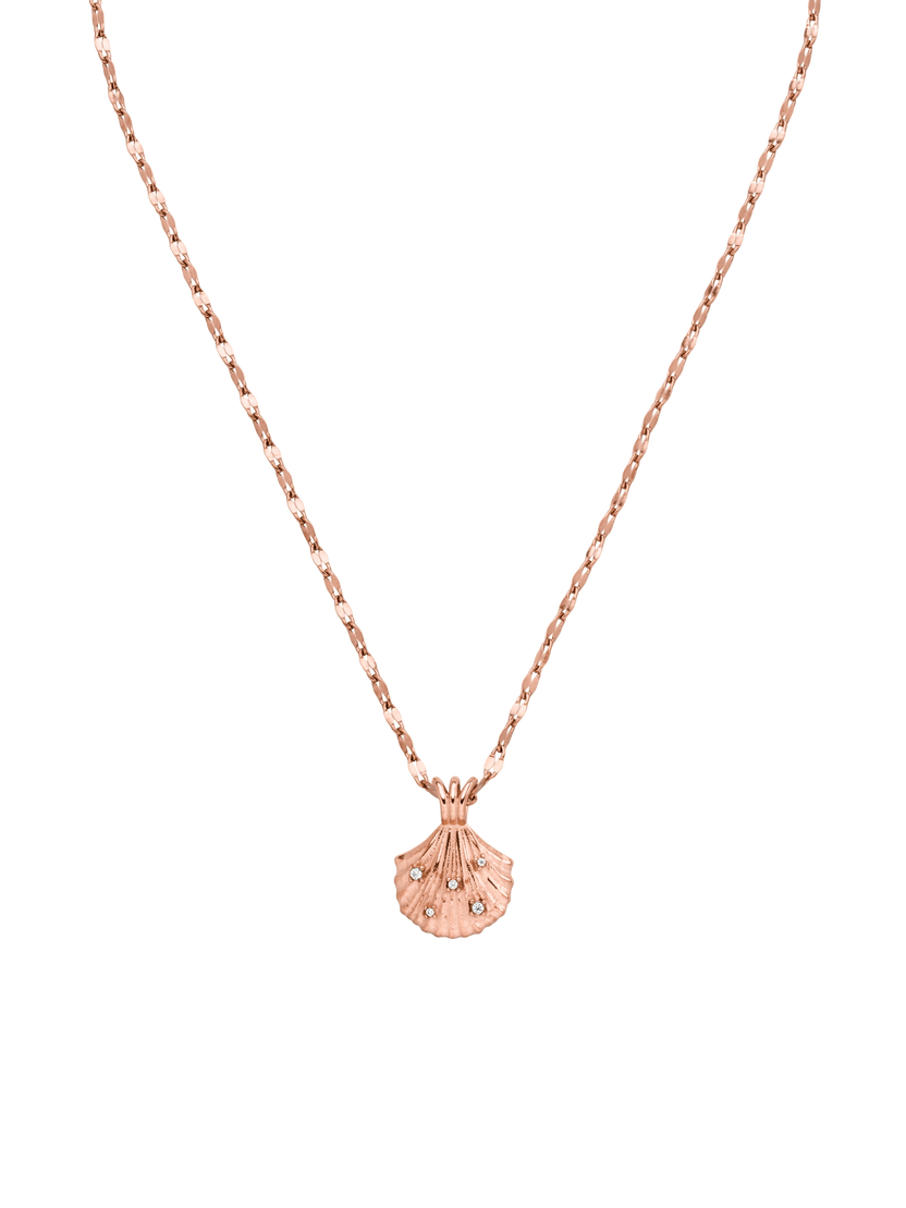 Shell Kette (Aloha)