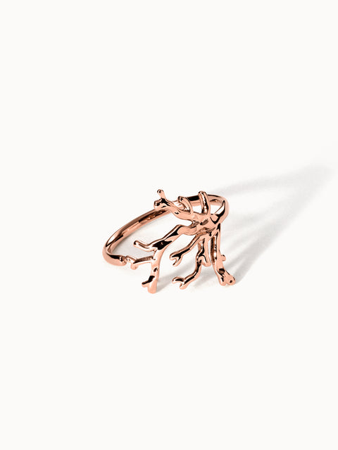 {"color":"Rosegold", "type":"lead_image"}