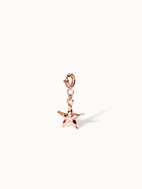 {"color":"Rosegold", "type":"lead_image"}