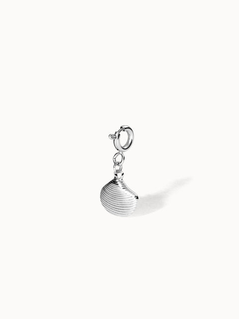 {"color":"Silver", "type":"lead_image"}