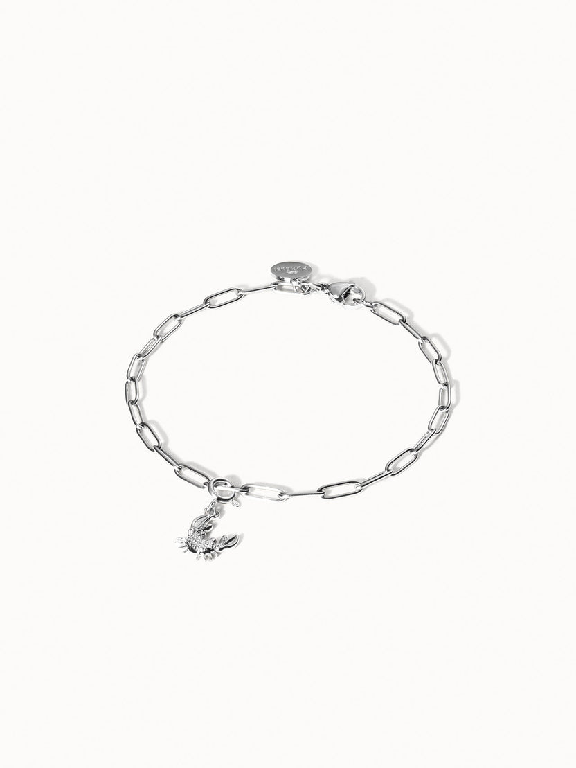 {"color":"Silver"}