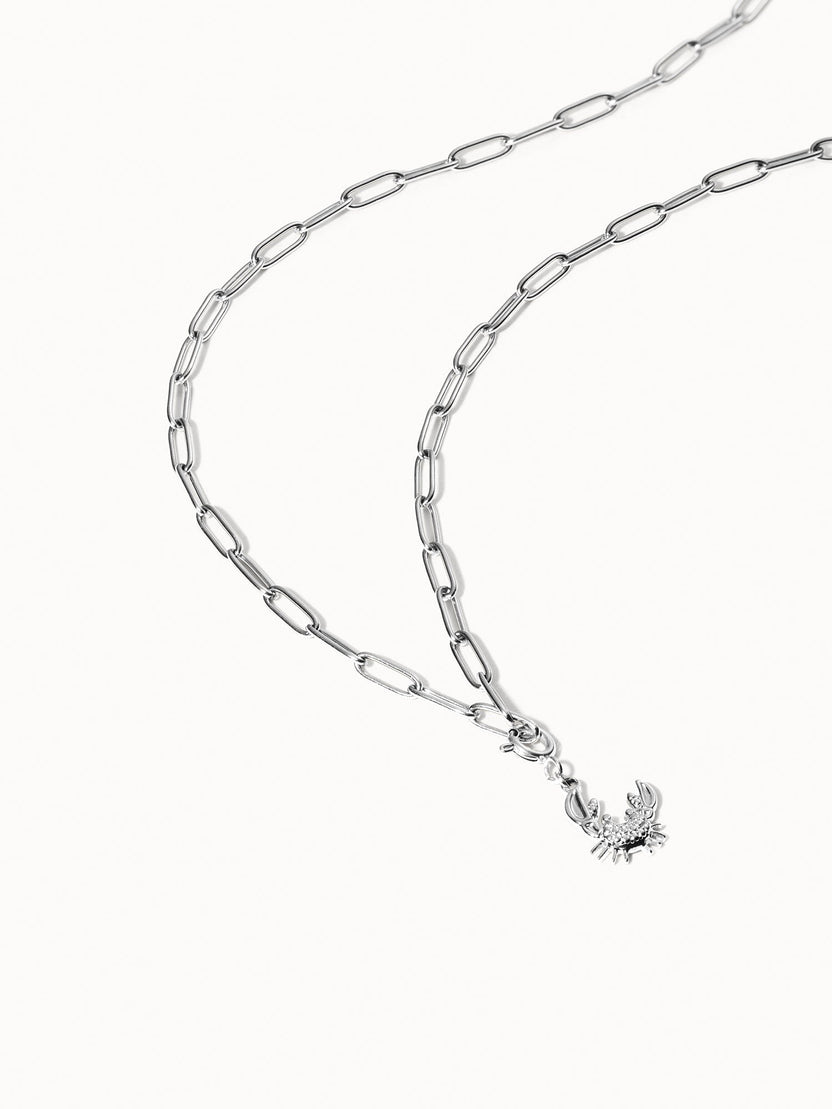 {"color":"Silver"}