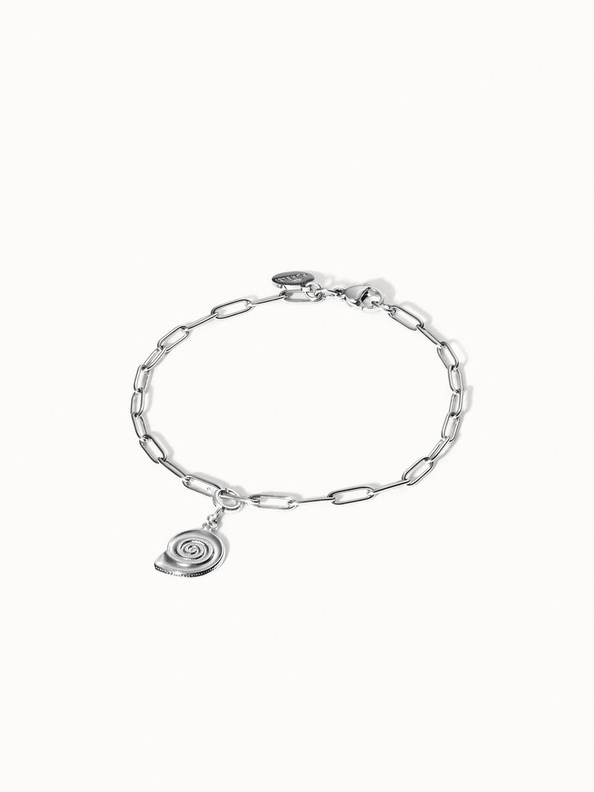 {"color":"Silver"}