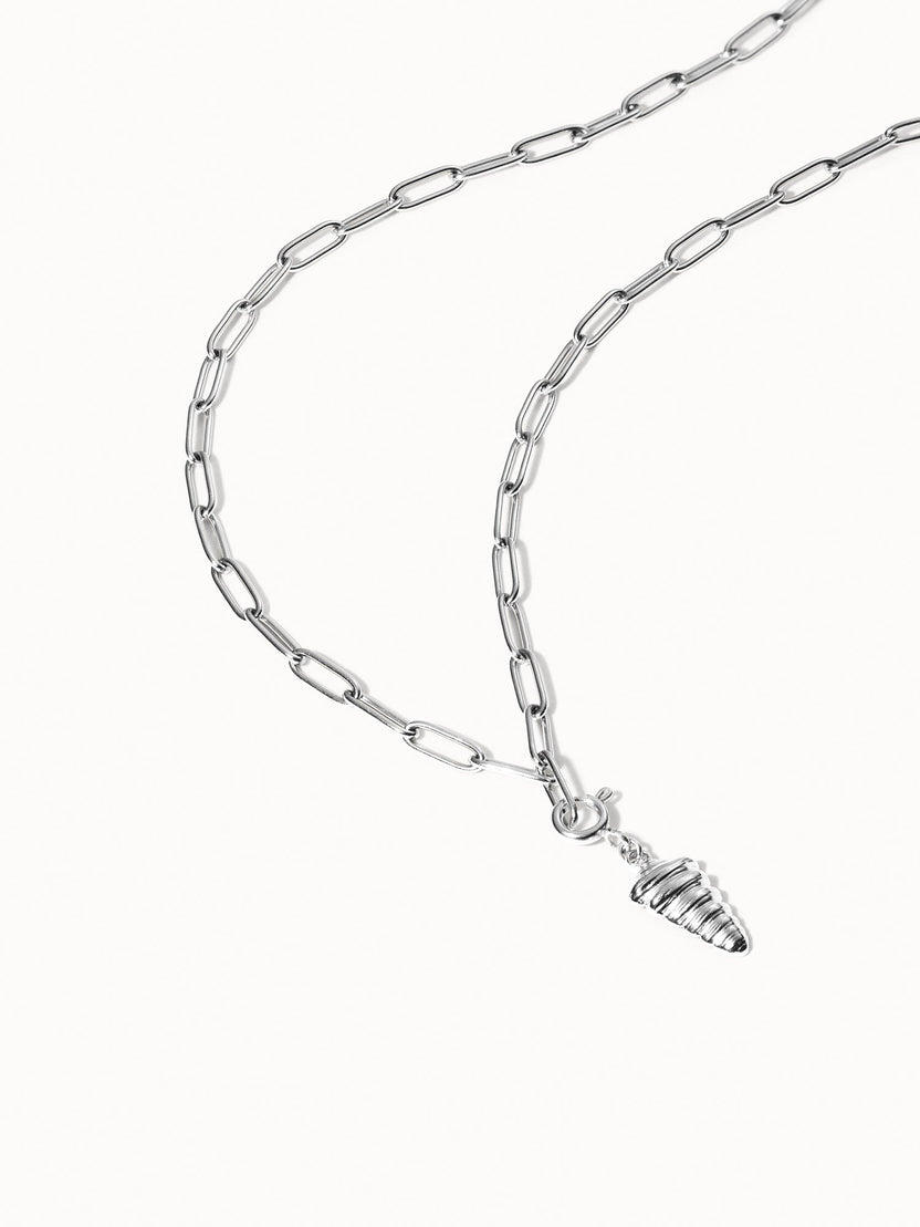 {"color":"Silver"}