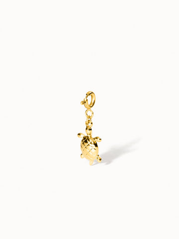 {"color":"Gold", "type":"lead_image"}