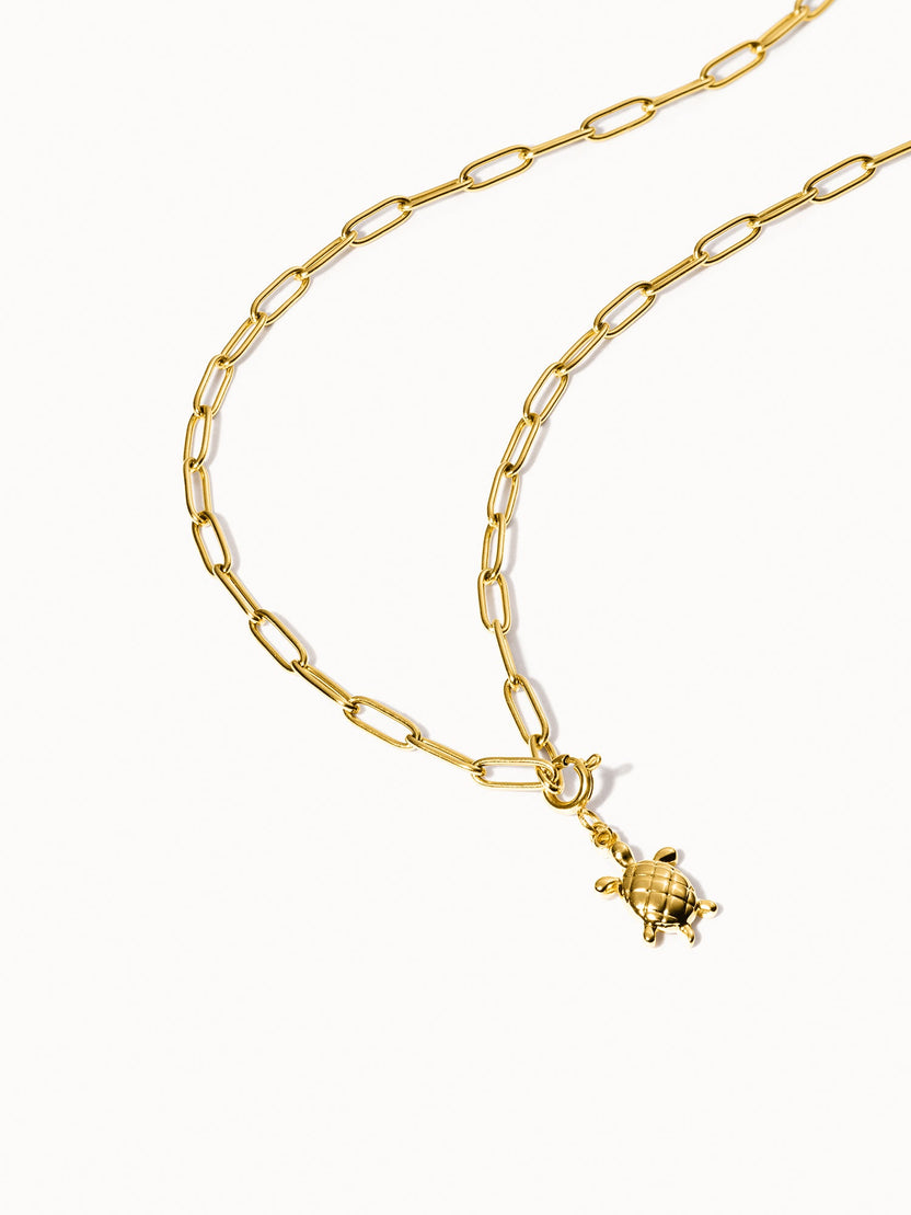 {"color":"Gold"}