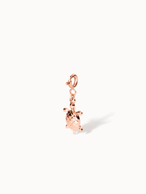 {"color":"Rosegold", "type":"lead_image"}
