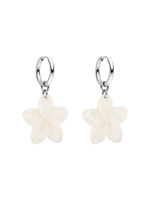 Shiny Plumeria Creole