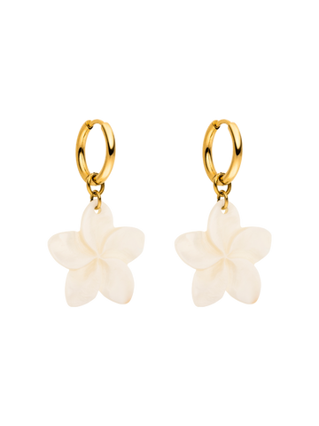 Shiny Plumeria Creole