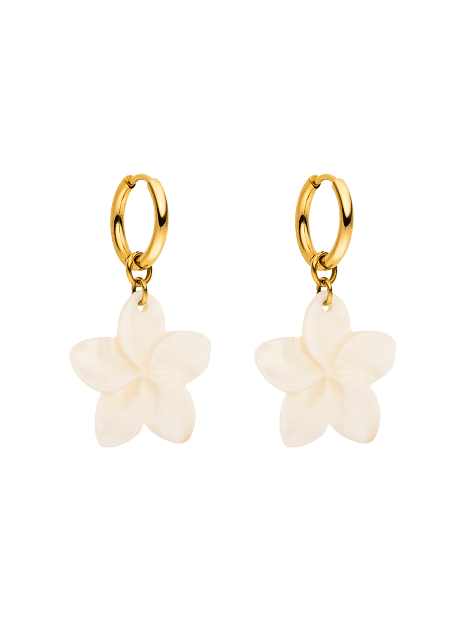 Shiny Plumeria Creole