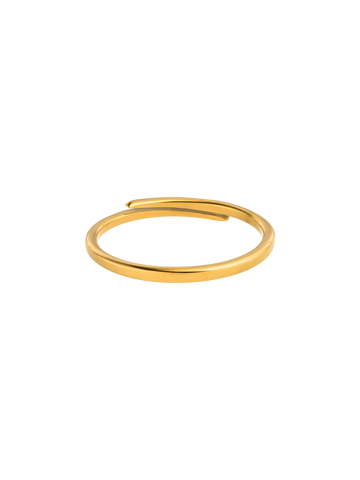 Forever Adjustable Ring