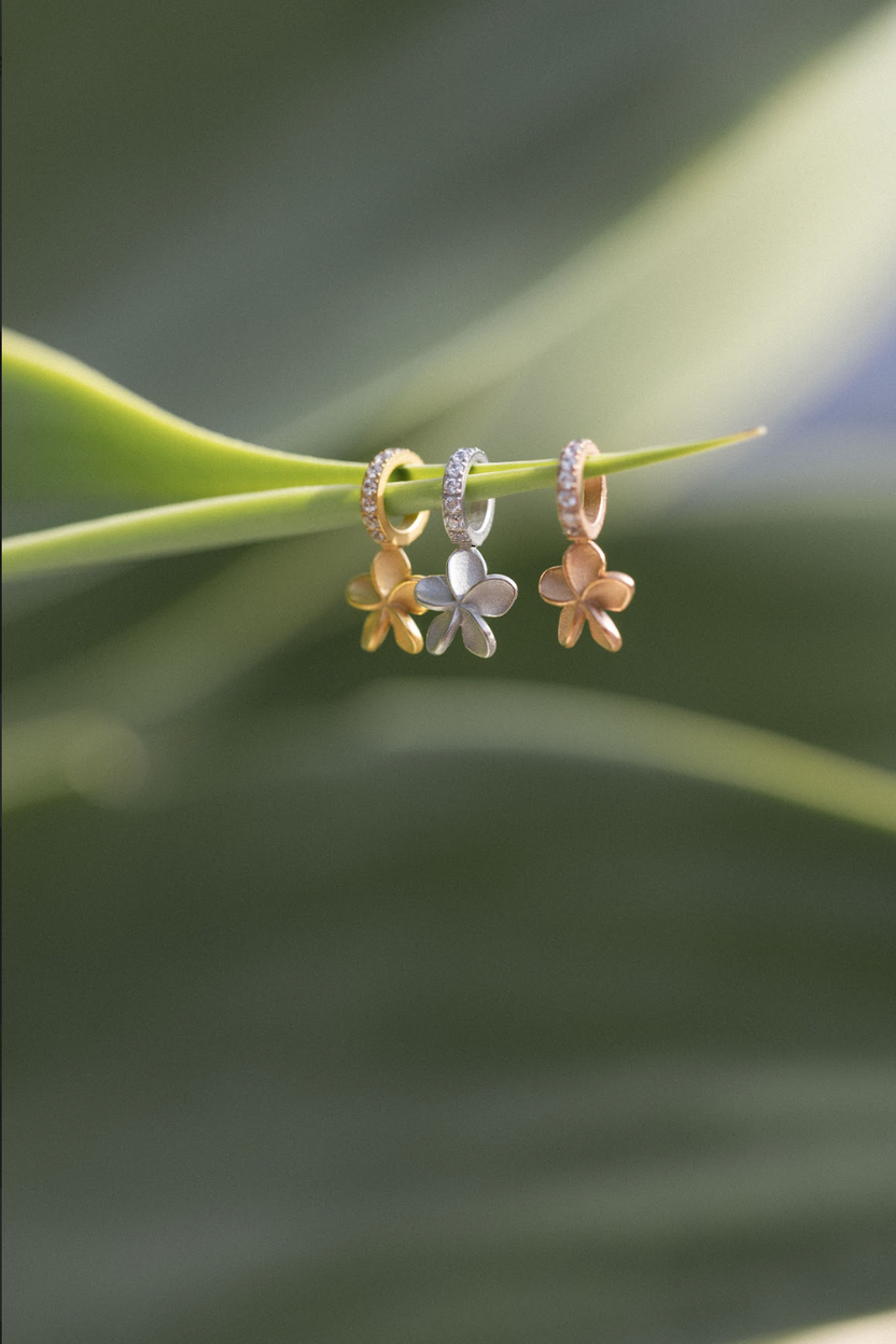 {"color":"Silver"}