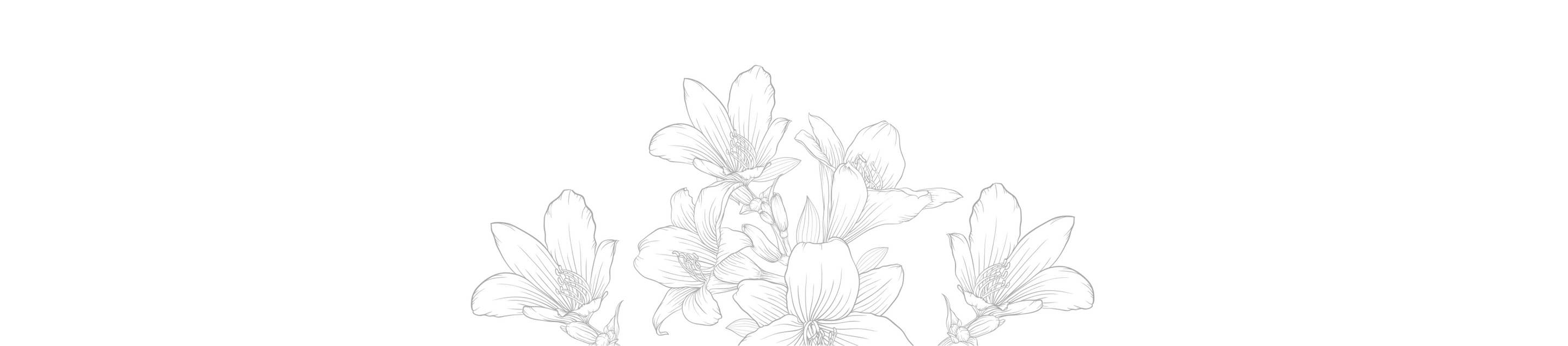 Feine, skizzierte Blumenillustration in Schwarz-Weiß von PURELEI, elegant und minimalistisch.