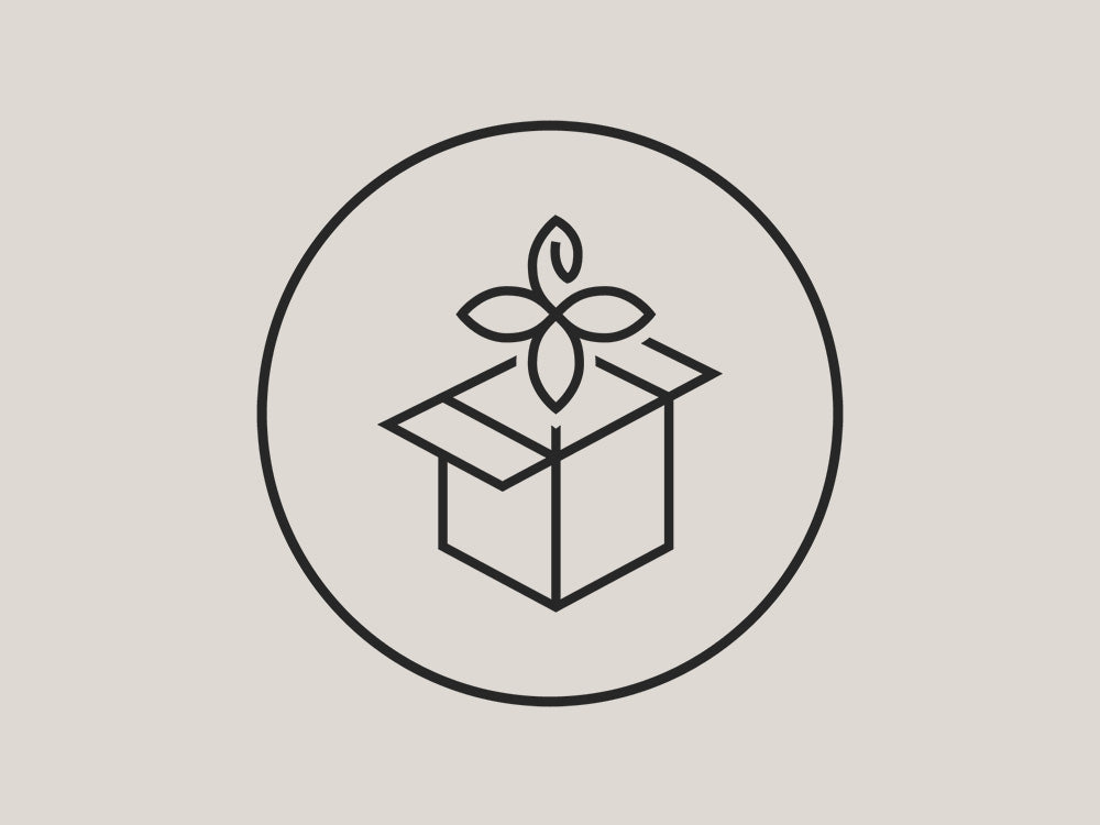 Schlichte, elegante Box mit Pflanze, PURELEI inspiriert von Natur und Aloha-Spirit.