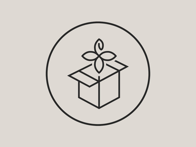Schlichte, elegante Box mit Pflanze, PURELEI inspiriert von Natur und Aloha-Spirit.