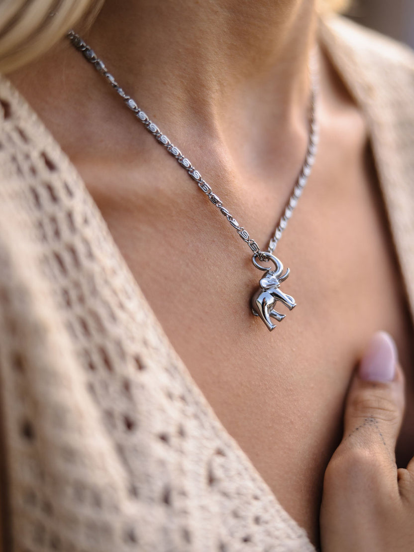 {"color":"Silver"}