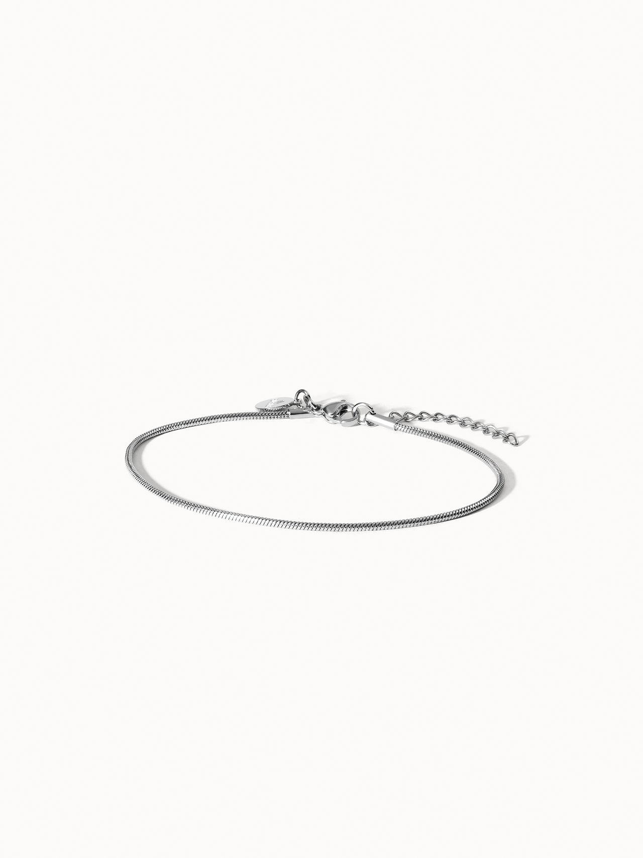 Sleek Anklet