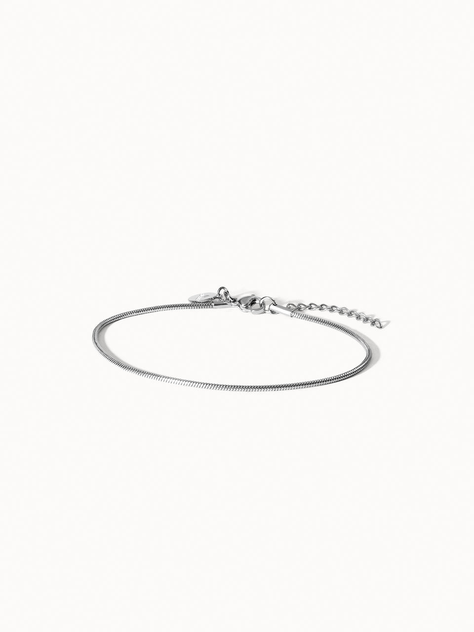 Sleek Anklet