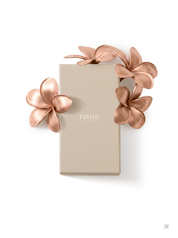 Jewelry Box Schmuck-Abo Flex