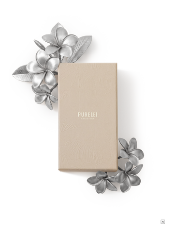 Jewelry Box Schmuck-Abo Flex