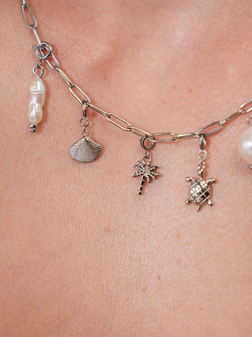 {"color":"Silver"}