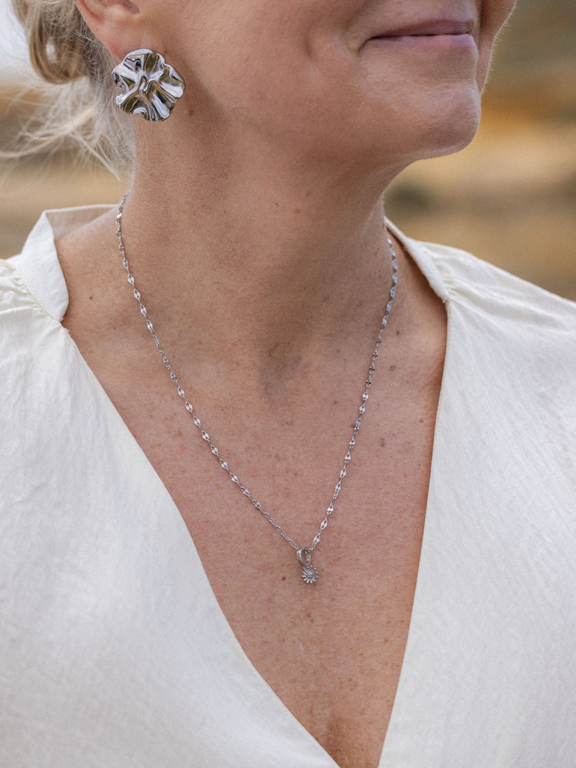 {"color":"Silver"}