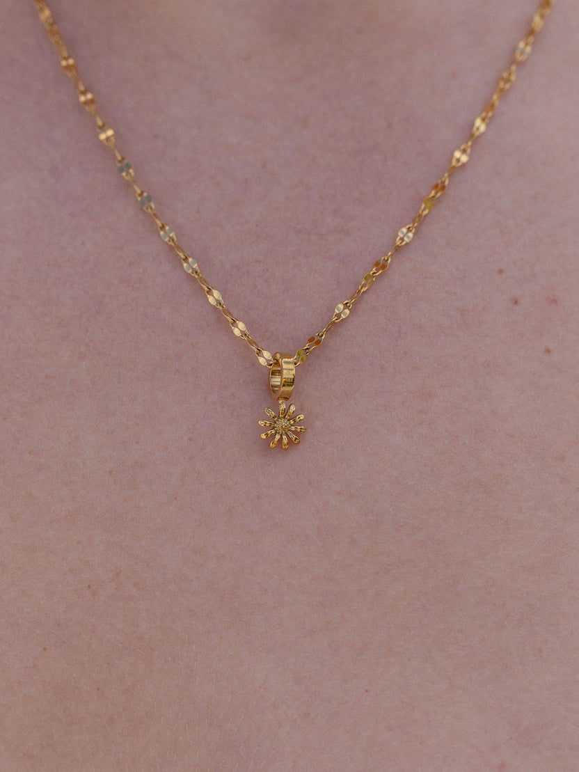 Aster Geburtsblume September Charm in 18K Gold, zartes Blumendesign an feiner Kette, elegant und feminin von PURELEI.