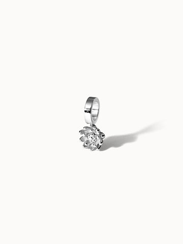 {"color":"Silver"}
