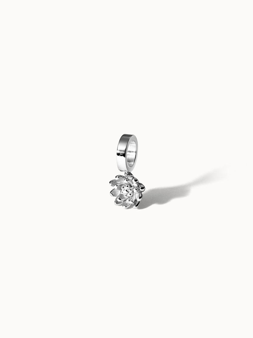 {"color":"Silver"}