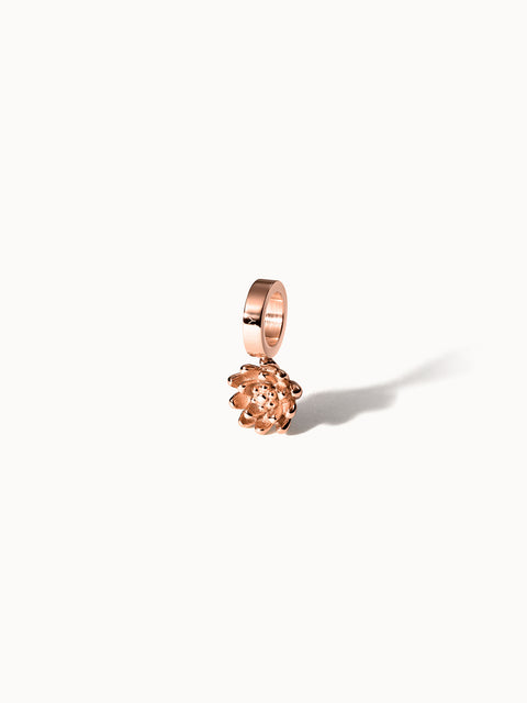 {"color":"Rosegold", "type":"lead_image"}