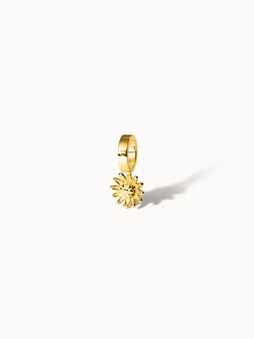 {"color":"Gold", "type":"lead_image"}
