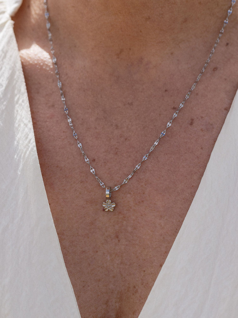 {"color":"Silver"}