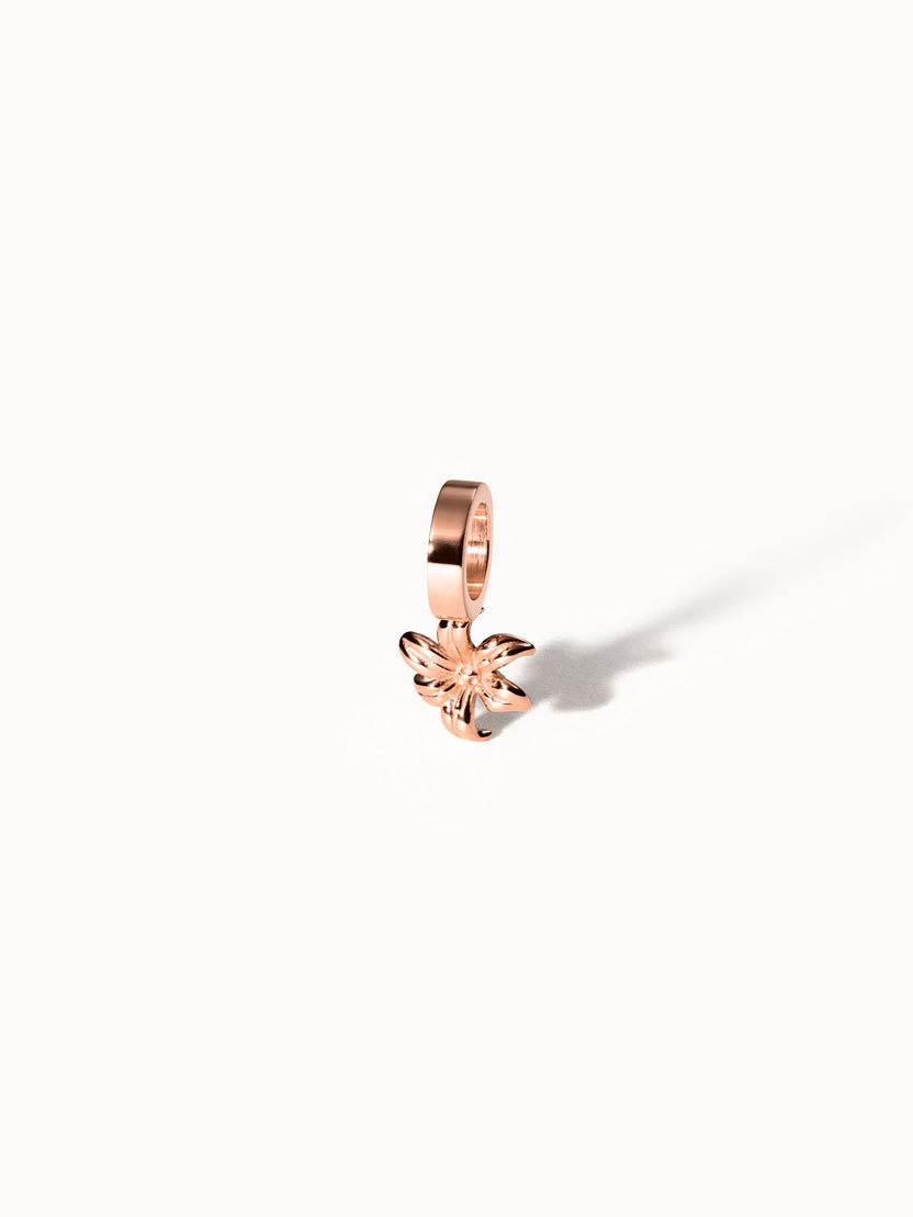 {"color":"Rosegold", "type":"lead_image"}