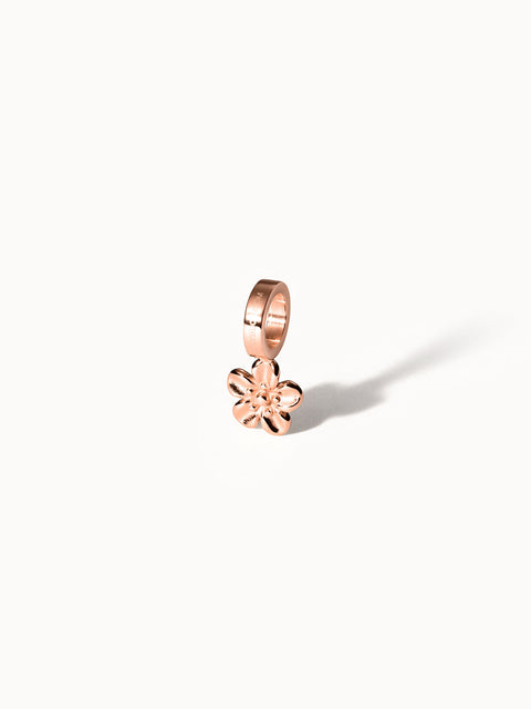 {"color":"Rosegold", "type":"lead_image"}