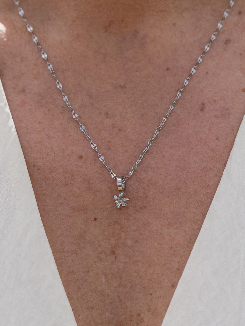 {"color":"Silver"}