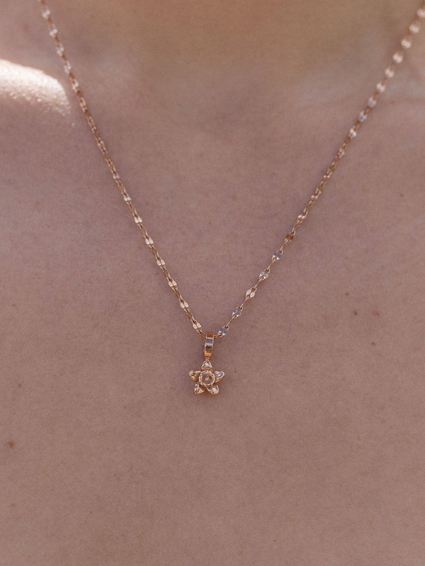 {"color":"Rosegold"}