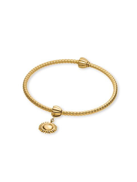LEI Sun Charm