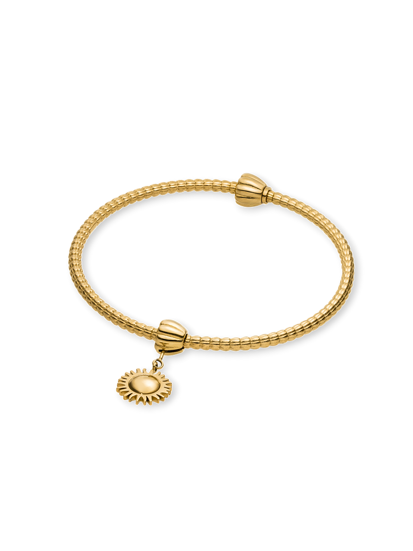 LEI Sun Charm