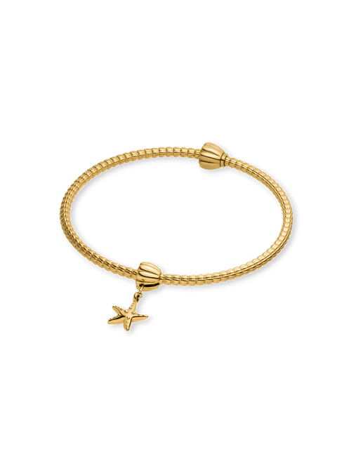 LEI Seestern Charm