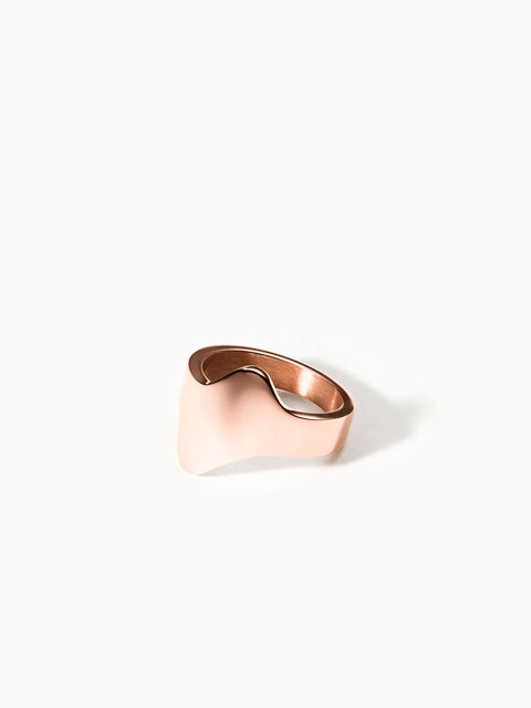 {"color":"Rosegold", "type":"lead_image"}