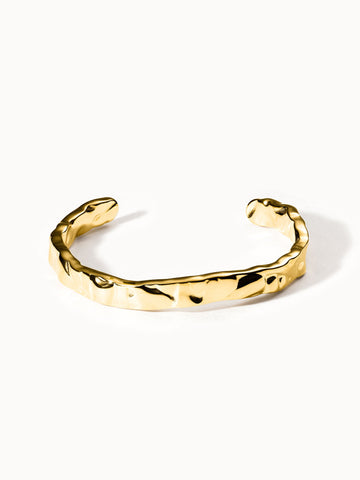 {"color":"Gold", "type":"lead_image"}