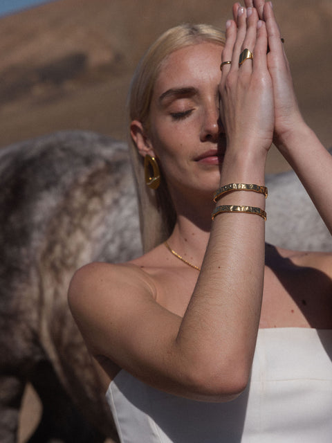 {"color":"Gold"}