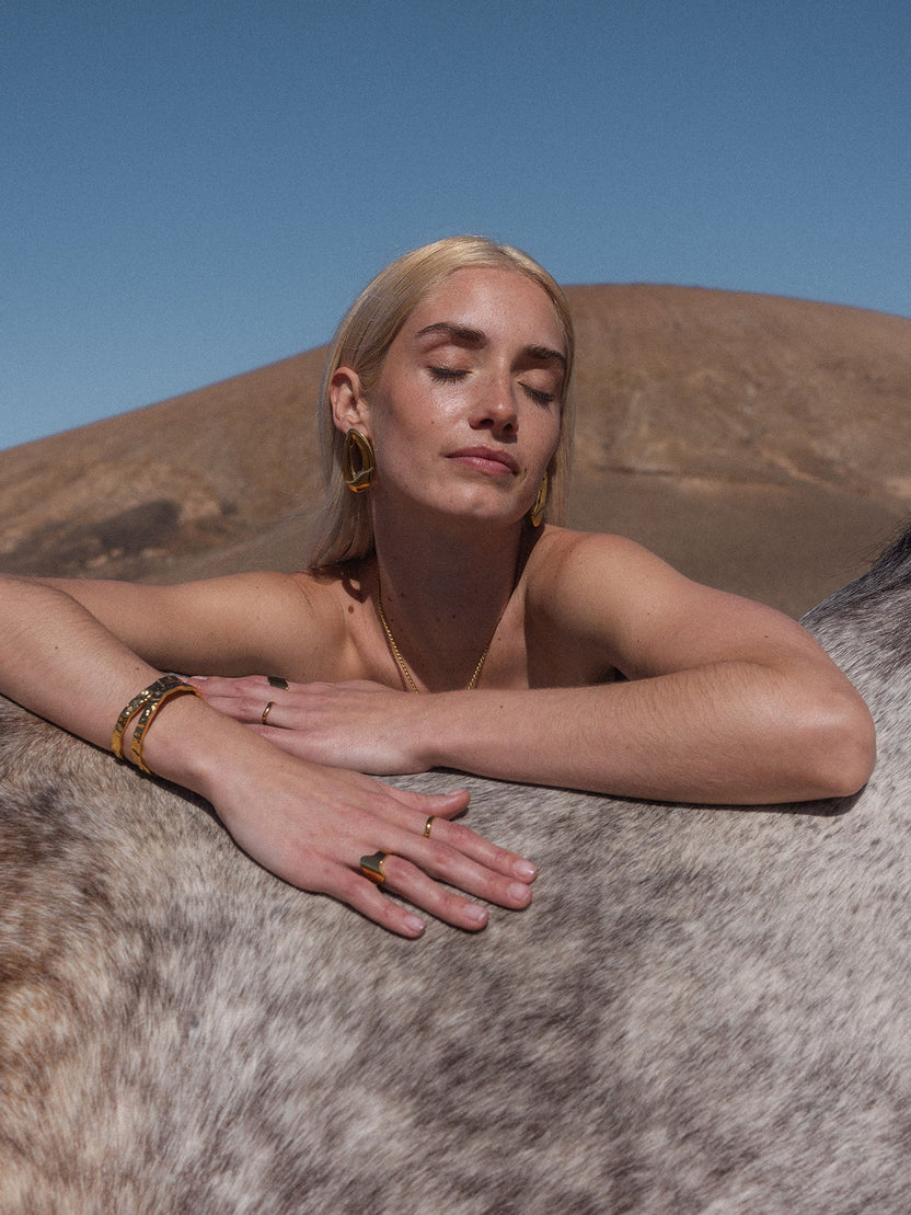 {"color":"Gold"}