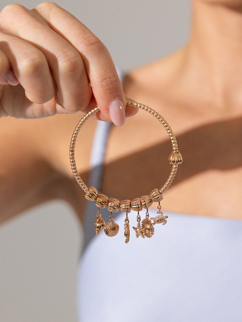 LEI Sun Charm