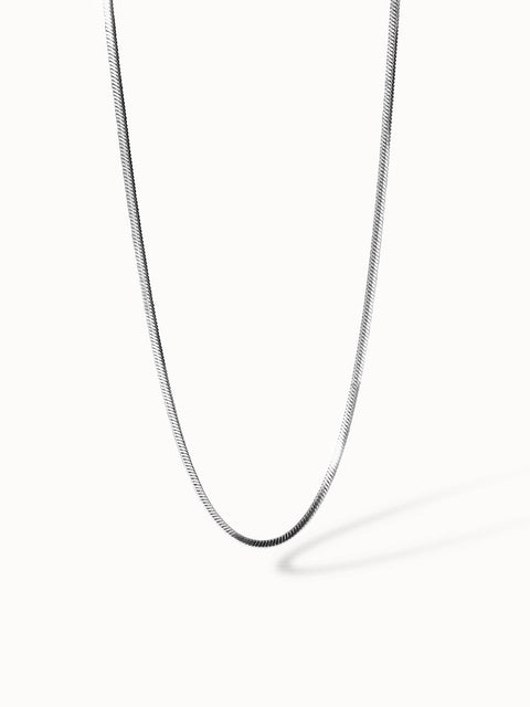 {"color":"Silver", "type":"lead_image"}